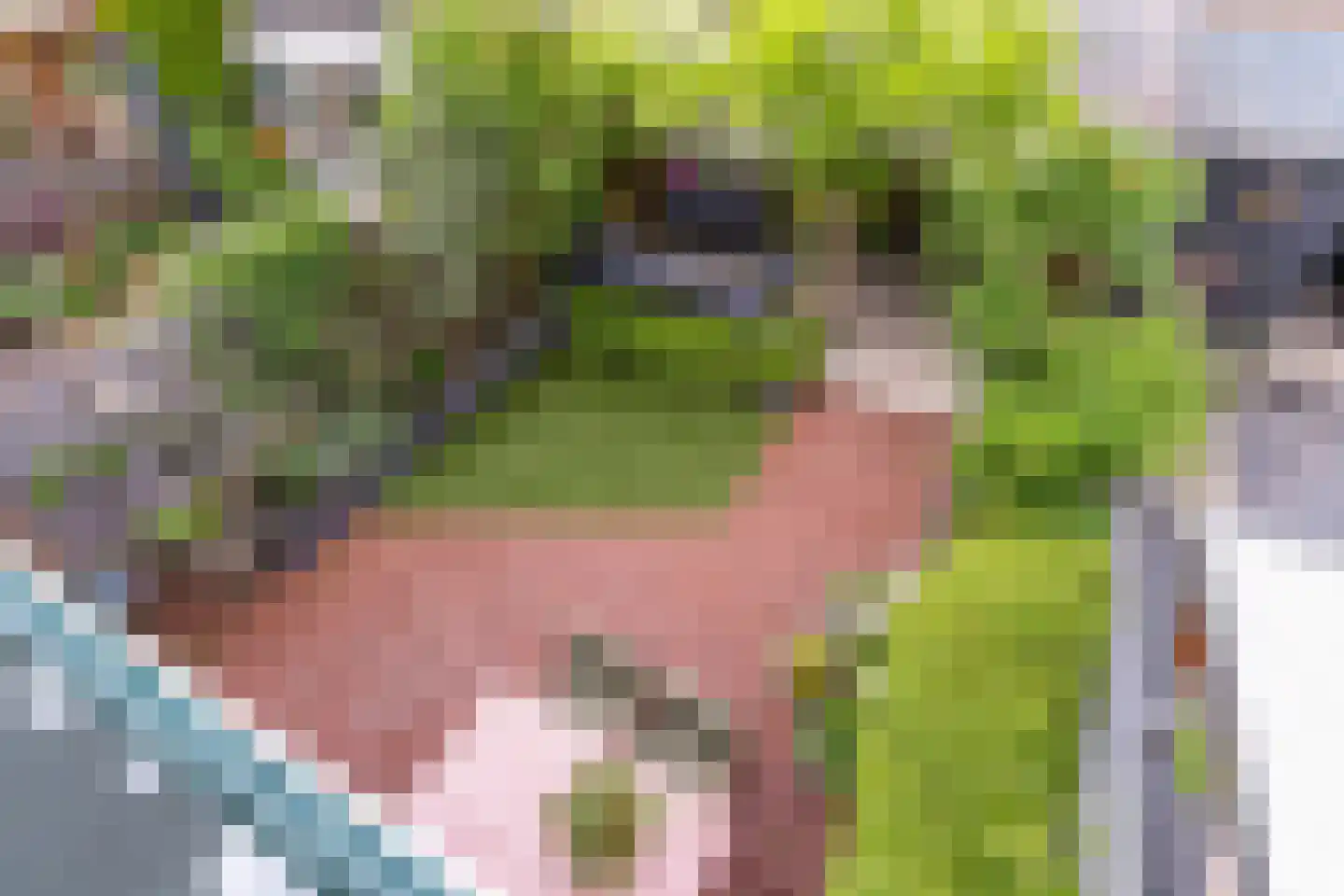Jan Willem Frisoweg 65 Waddinxveen thumbnail 39
