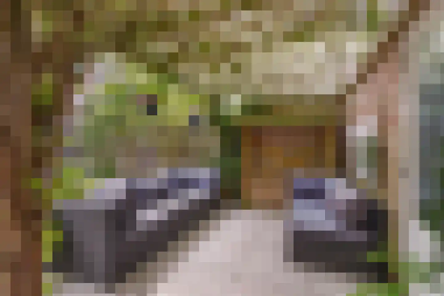 Jan Willem Frisoweg 65 Waddinxveen thumbnail 41
