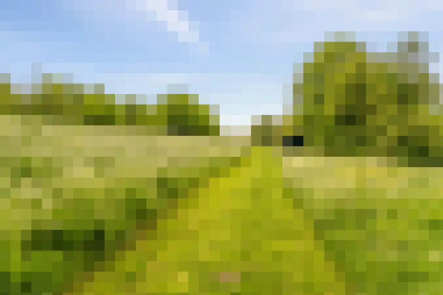 Jan Willem Frisoweg 65 Waddinxveen thumbnail 44