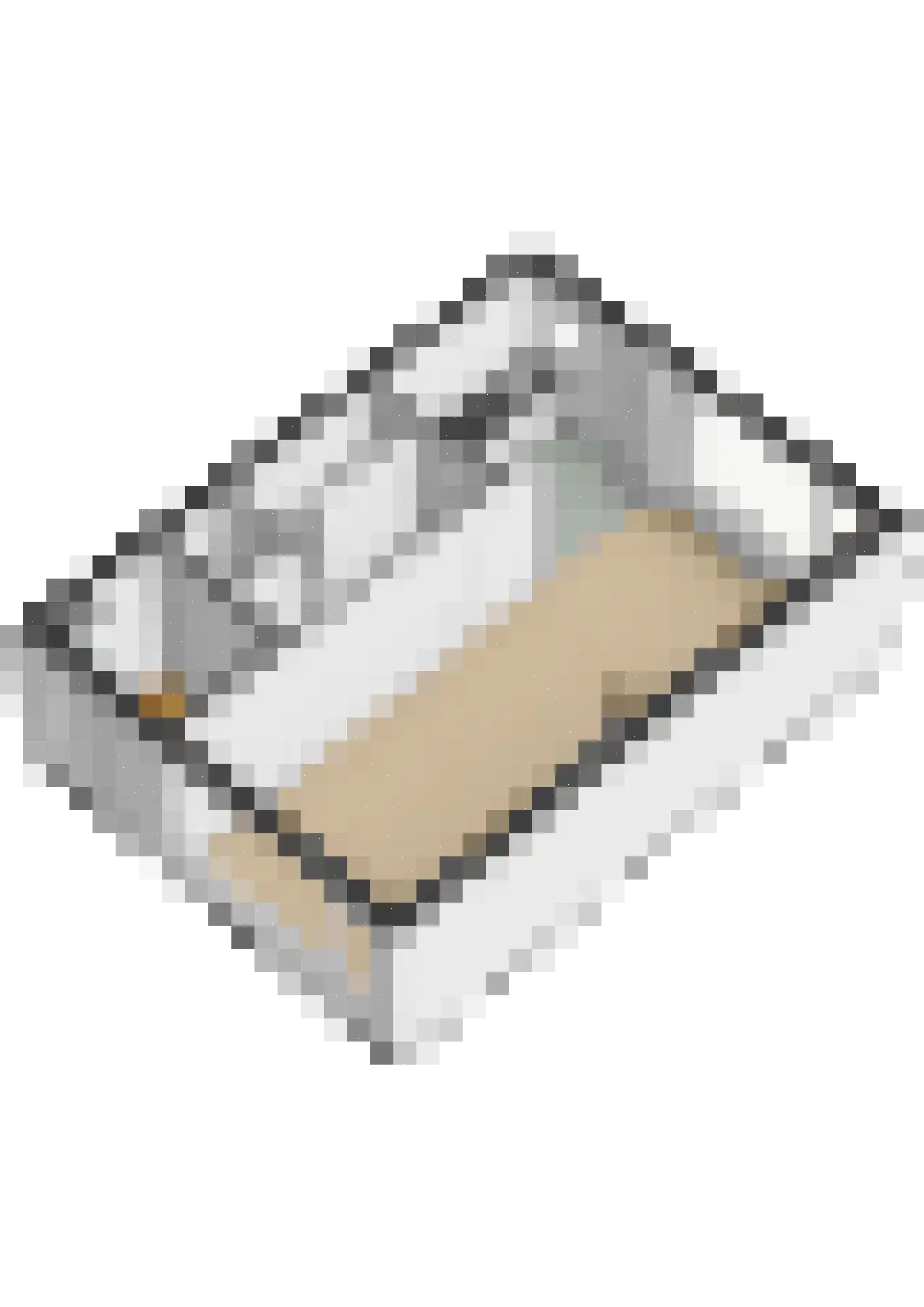 Jan Willem Frisoweg 65 Waddinxveen thumbnail 46