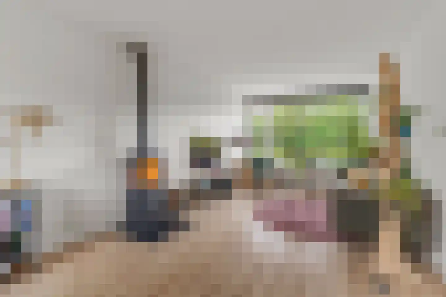 Jan Willem Frisoweg 65 Waddinxveen thumbnail 8