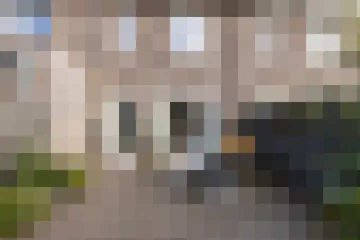 Jan Willemenstraat 12 Dongen thumbnail 25