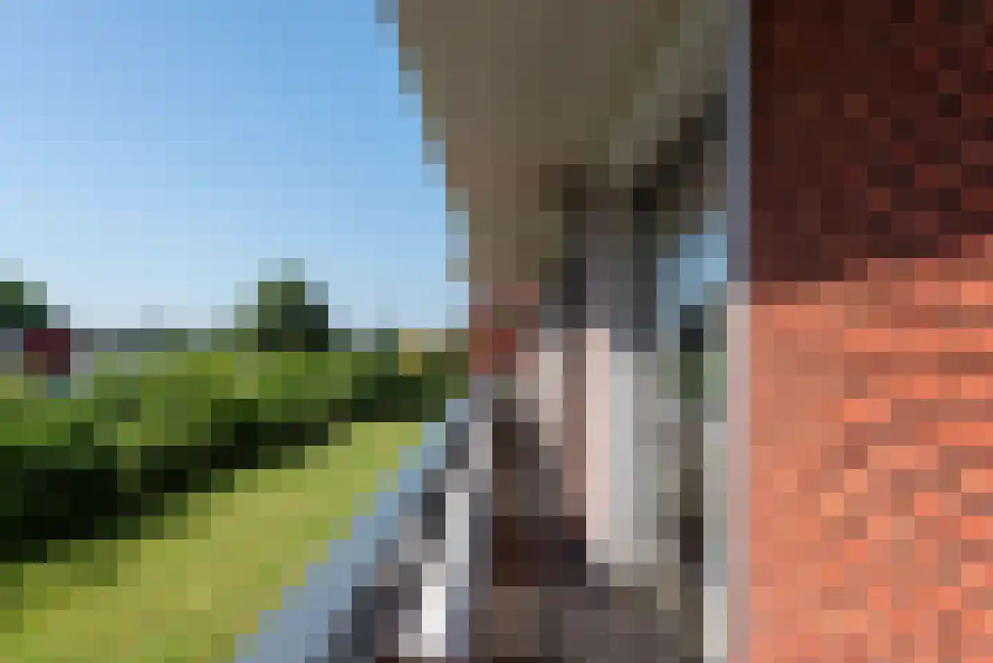 Jan Wilshof 106 Alkmaar thumbnail 15