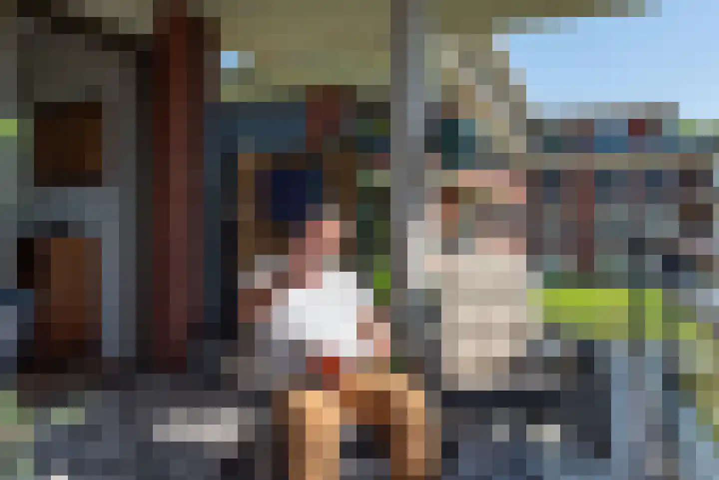 Jan Wilshof 106 Alkmaar thumbnail 17