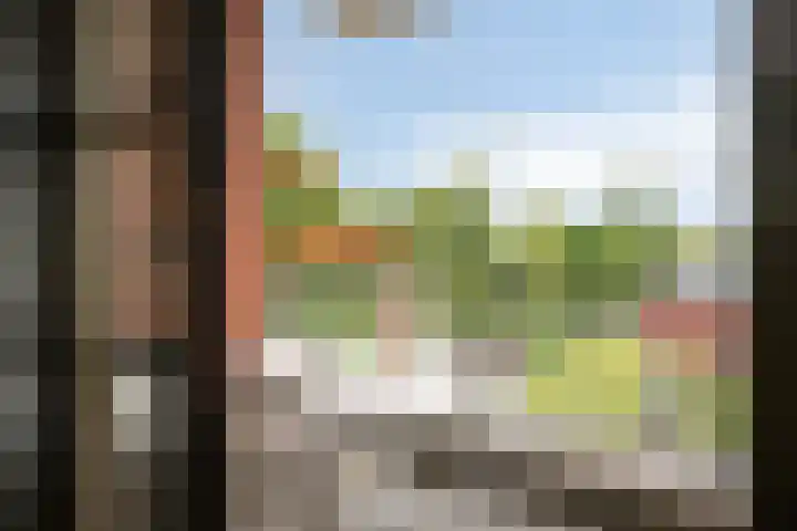 Jan Wilshof 108 Alkmaar thumbnail 12