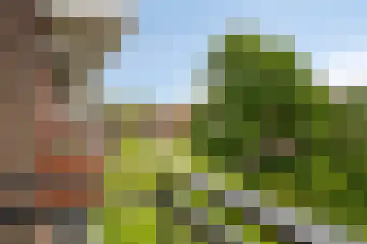 Jan Wilshof 108 Alkmaar thumbnail 13