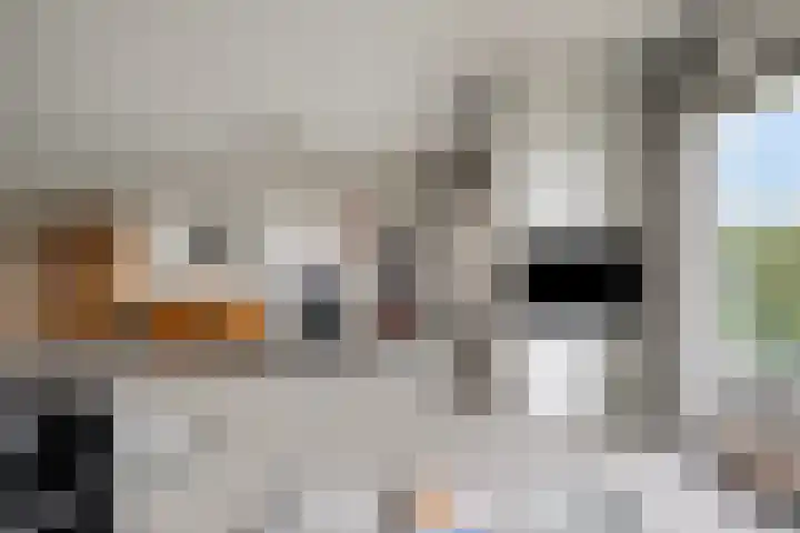 Jan Wilshof 108 Alkmaar thumbnail 18