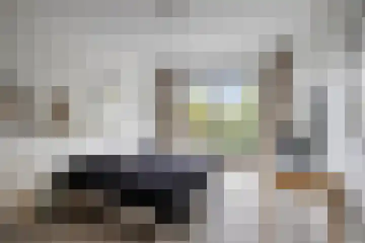 Jan Wilshof 108 Alkmaar thumbnail 21