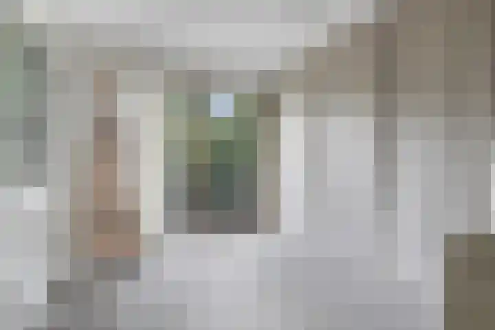 Jan Wilshof 108 Alkmaar thumbnail 24
