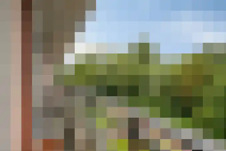 Jan Wilshof 108 Alkmaar thumbnail 25