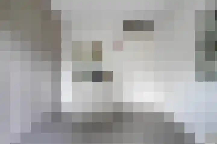 Jan Wilshof 108 Alkmaar thumbnail 26