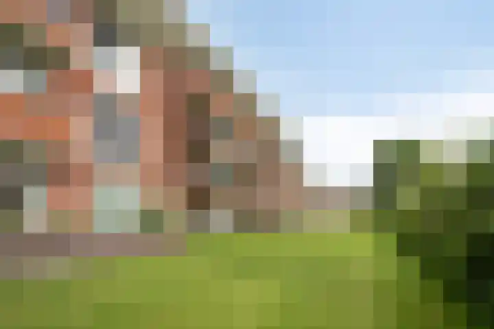 Jan Wilshof 108 Alkmaar thumbnail 31