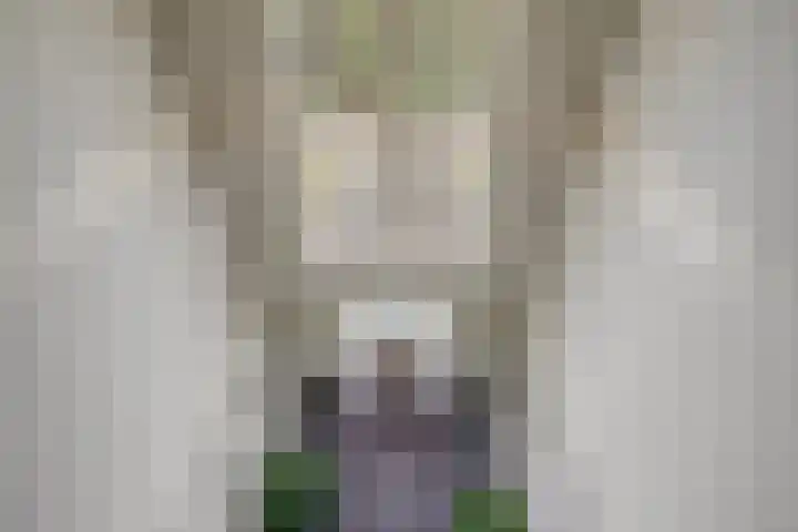 Jan Wilshof 108 Alkmaar thumbnail 33