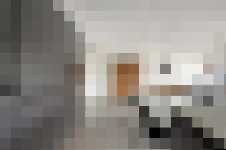 Jan Wilshof 108 Alkmaar thumbnail 8