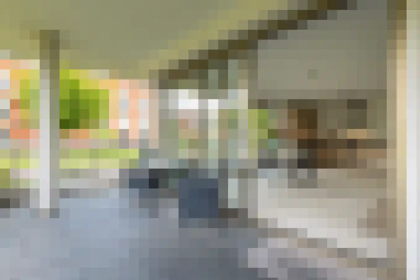 Jan Wilshof 128 Alkmaar thumbnail 19