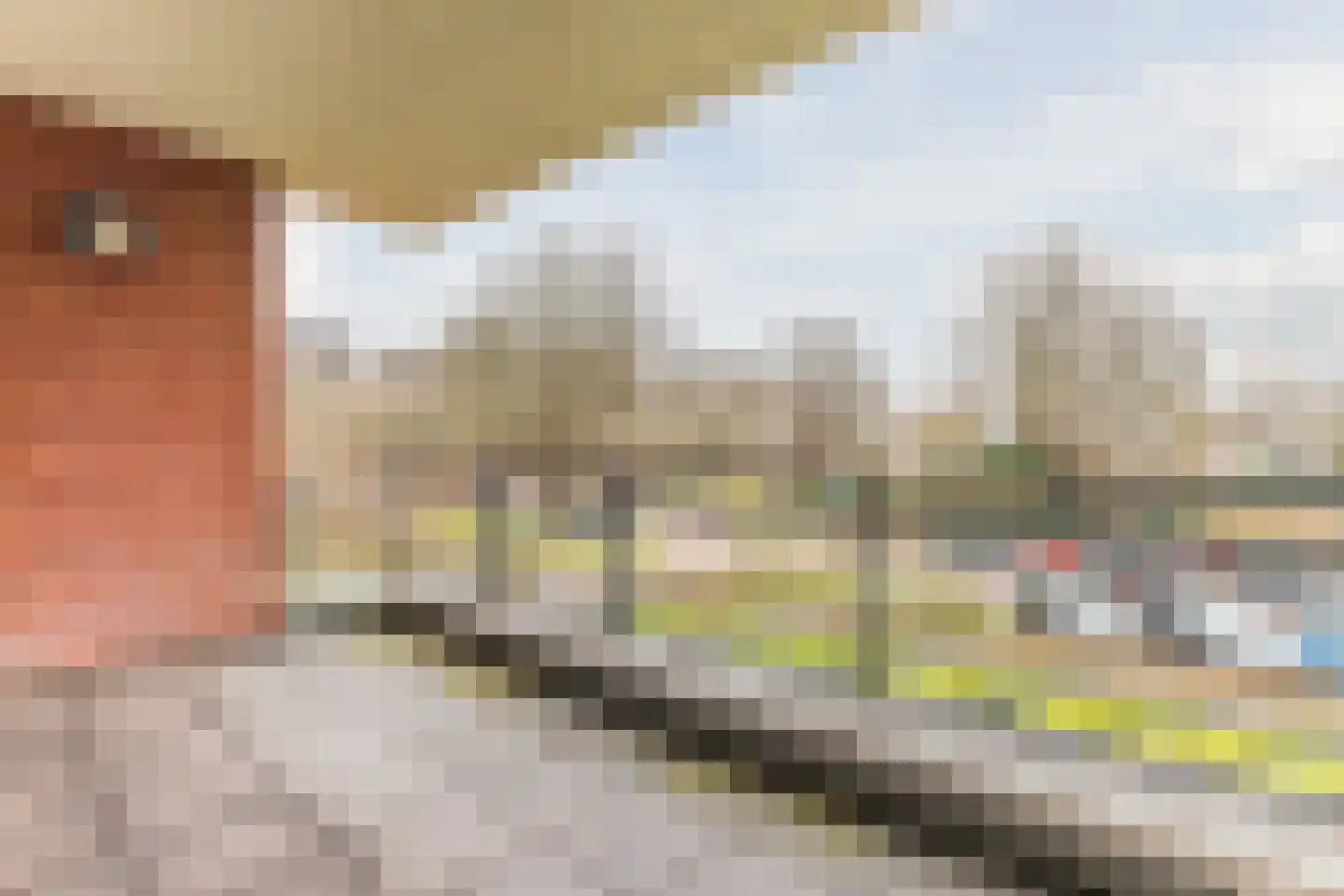 Jan Wilshof 37 Alkmaar thumbnail 28