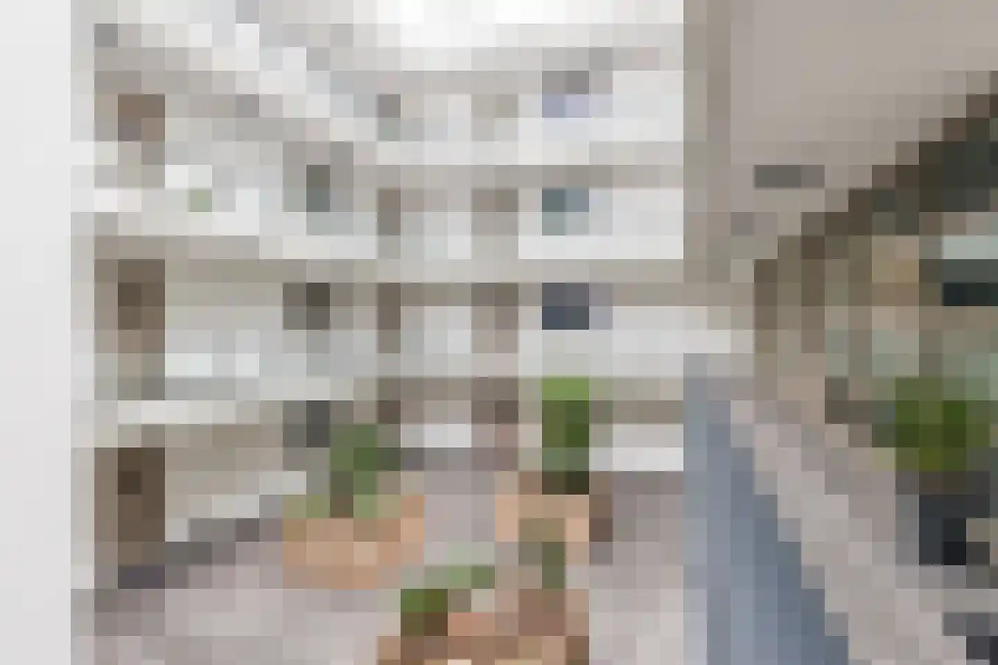 Jan Wilshof 37 Alkmaar thumbnail 38