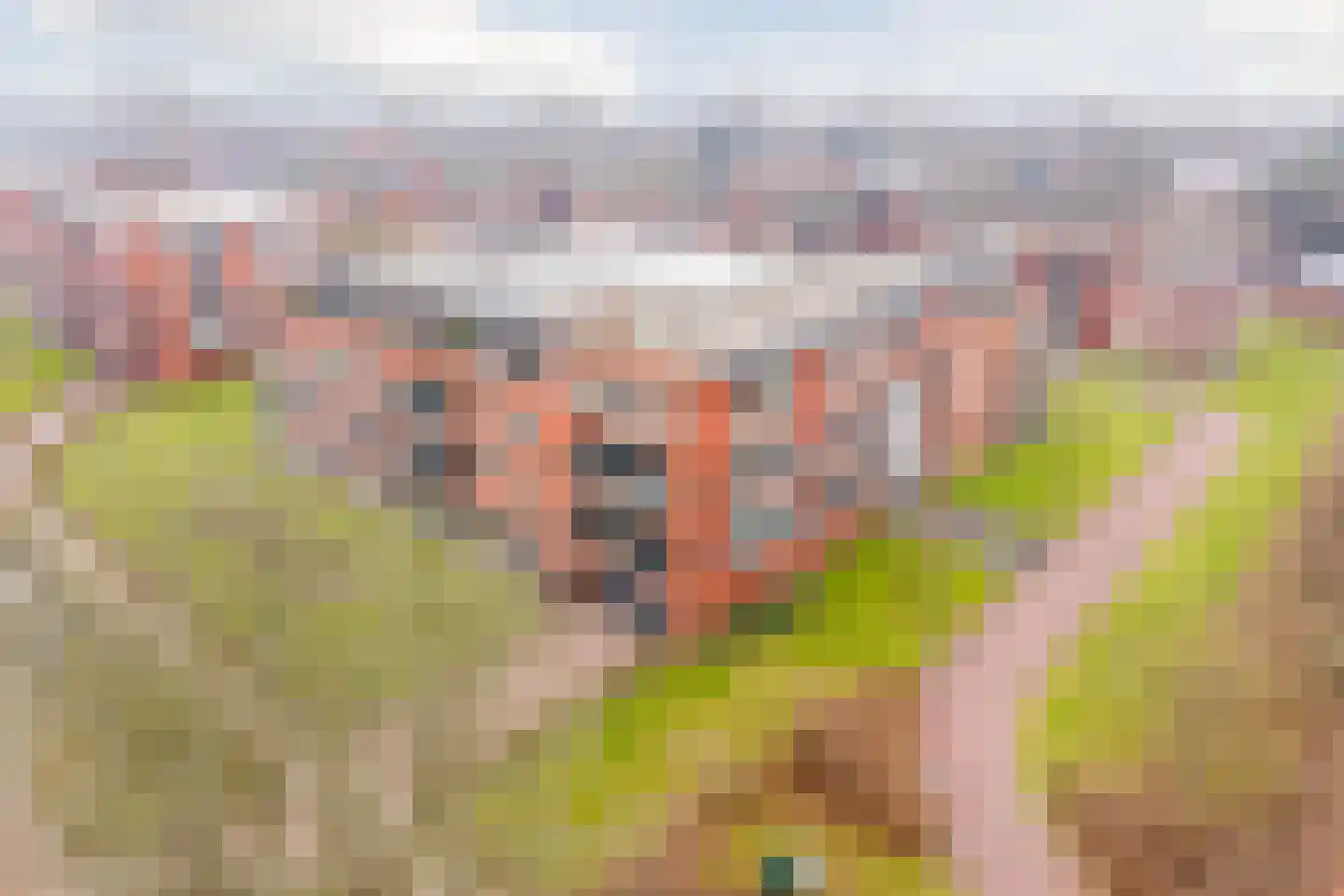 Jan Wilshof 37 Alkmaar thumbnail 41
