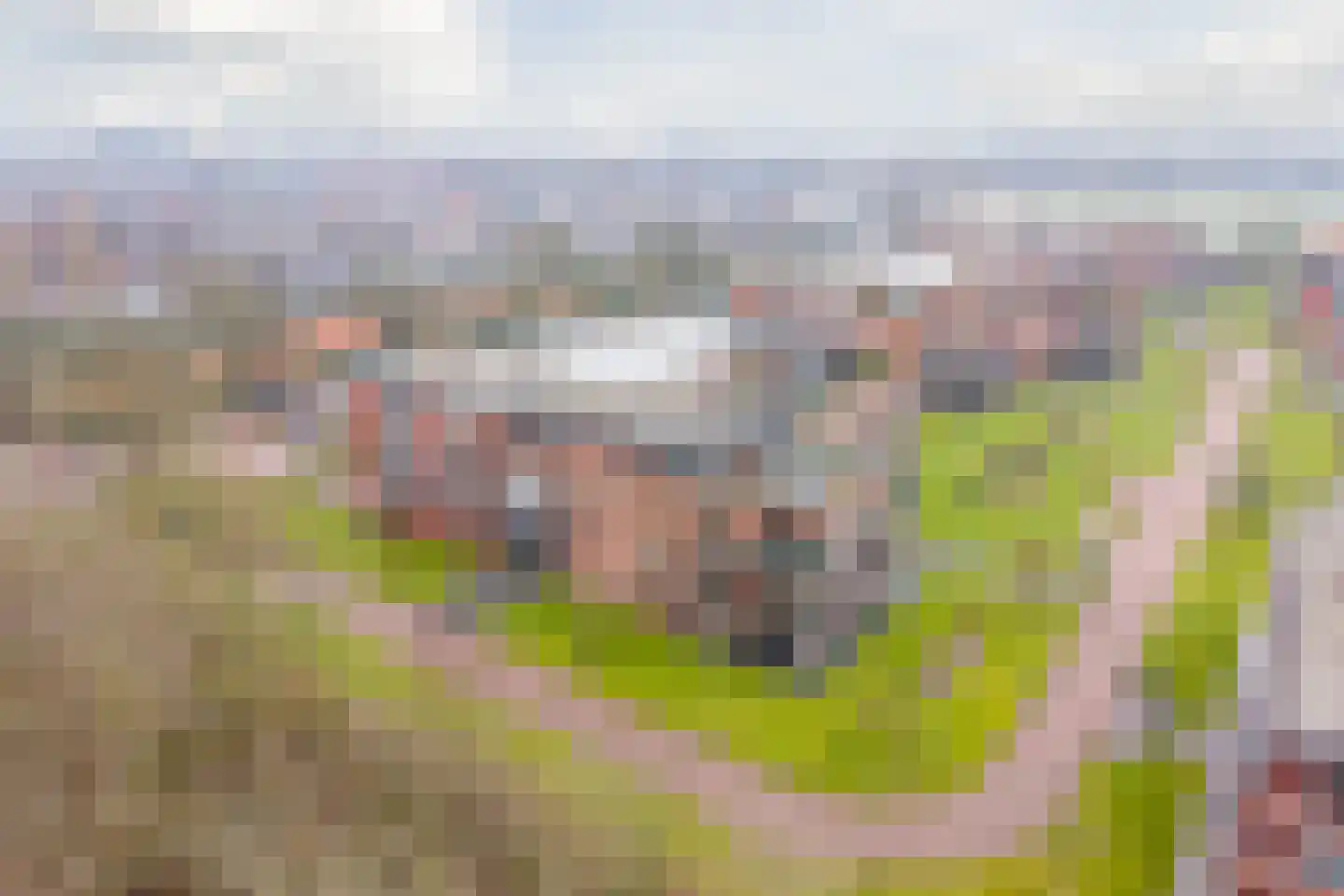 Jan Wilshof 37 Alkmaar thumbnail 42
