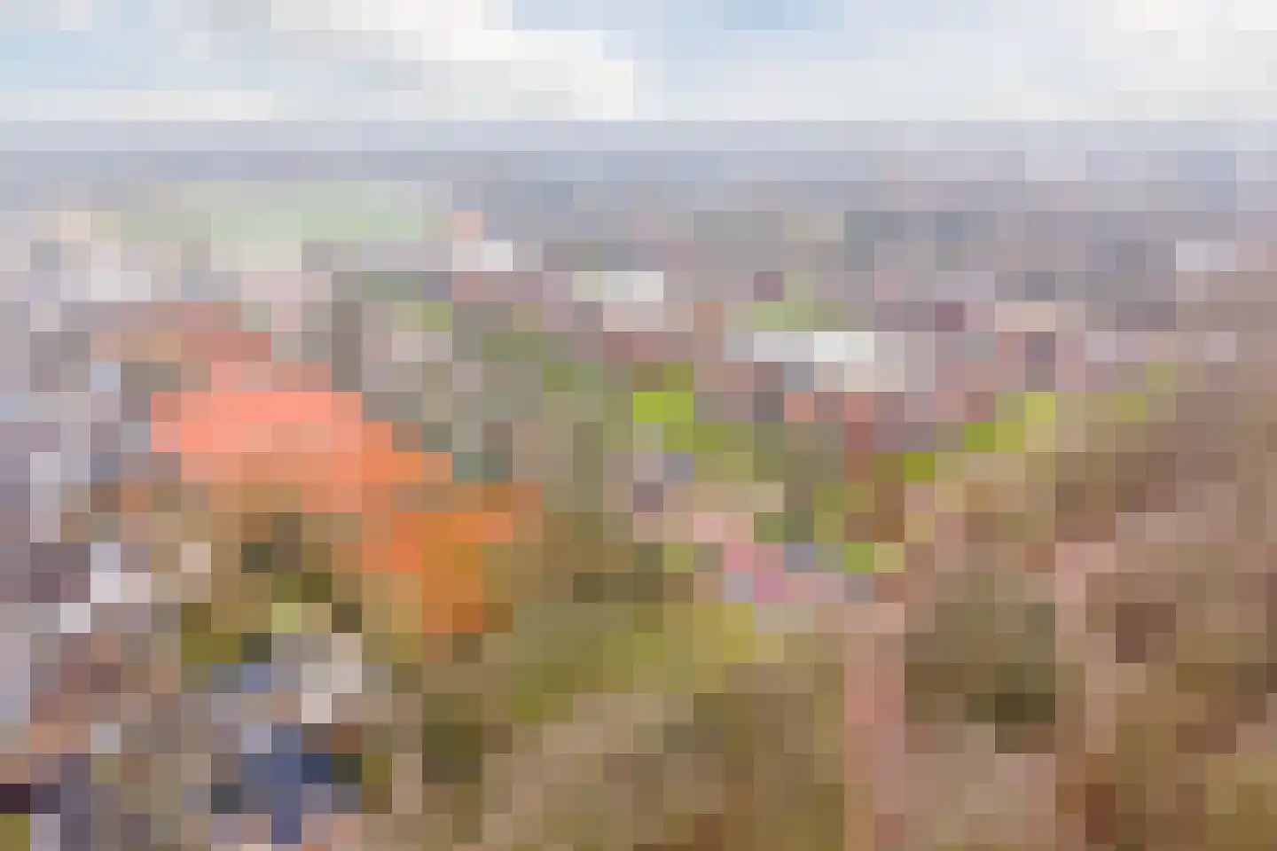 Jan Wilshof 37 Alkmaar thumbnail 44