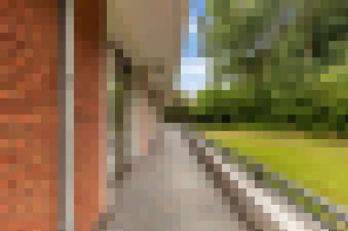 Jan Wilshof 49 Alkmaar thumbnail 39