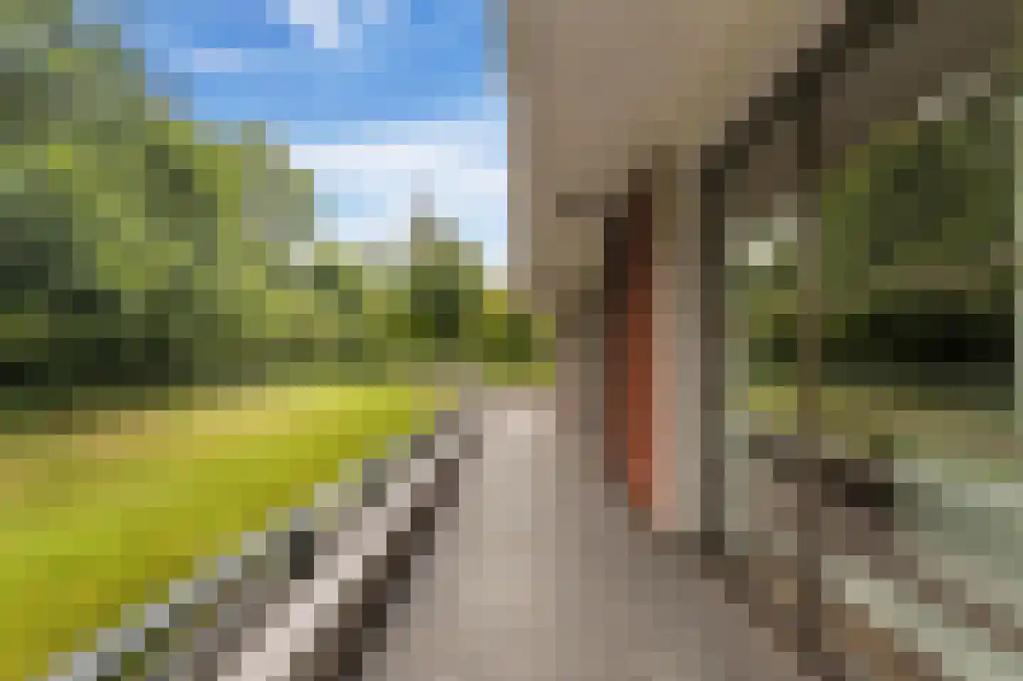 Jan Wilshof 49 Alkmaar thumbnail 40