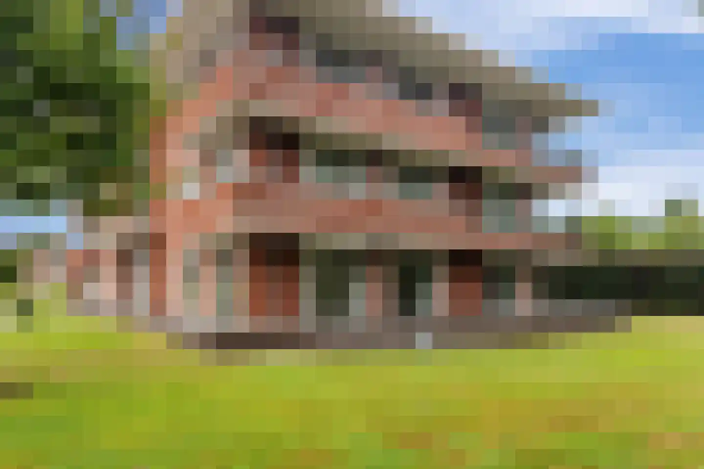 Jan Wilshof 49 Alkmaar thumbnail 43