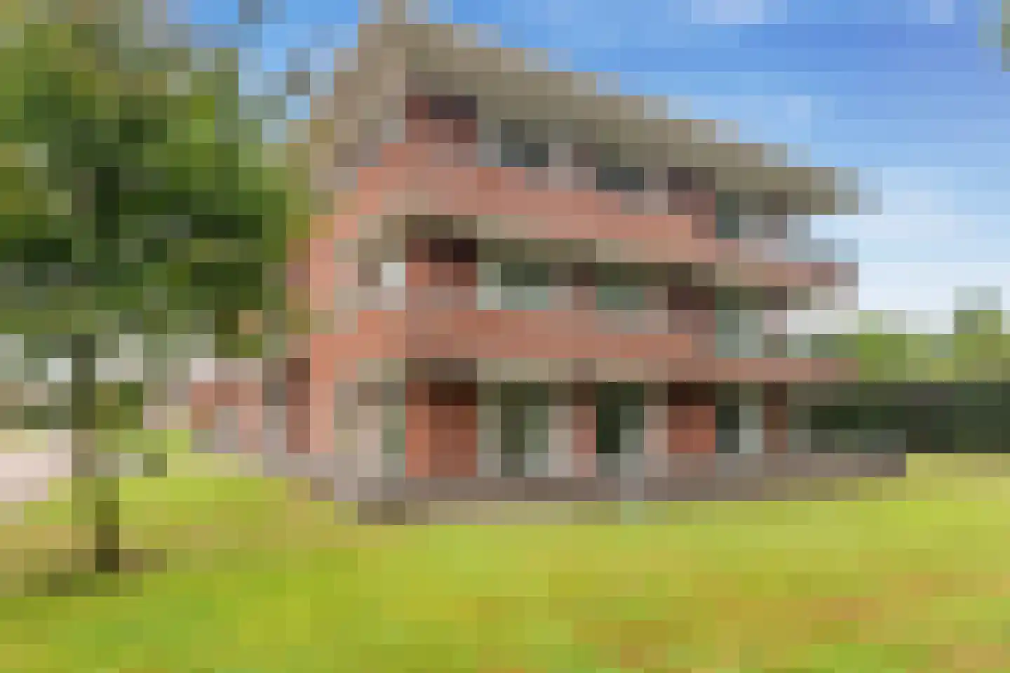 Jan Wilshof 49 Alkmaar thumbnail 44