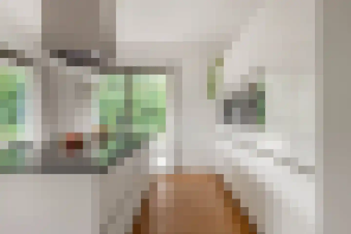 Jan Wilshof 49 Alkmaar thumbnail 9