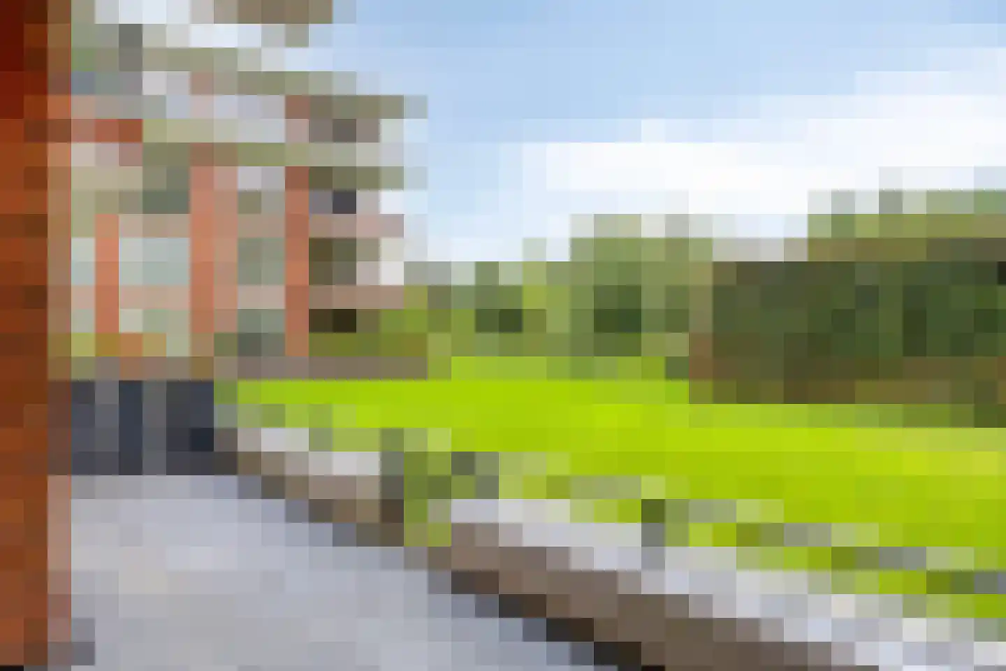 Jan Wilshof 50 Alkmaar thumbnail 19