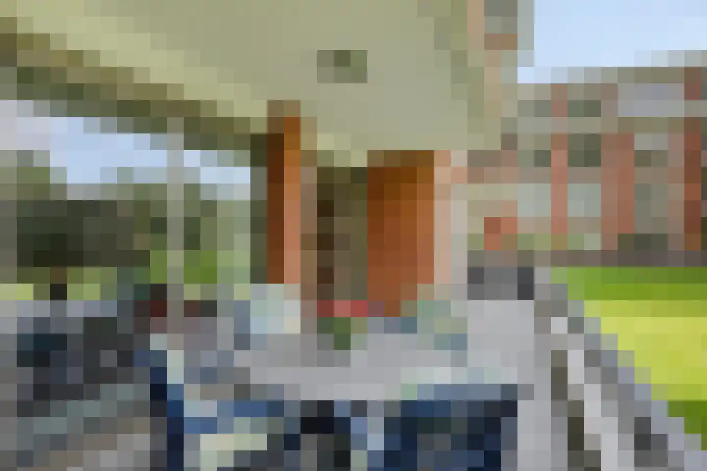 Jan Wilshof 50 Alkmaar thumbnail 20
