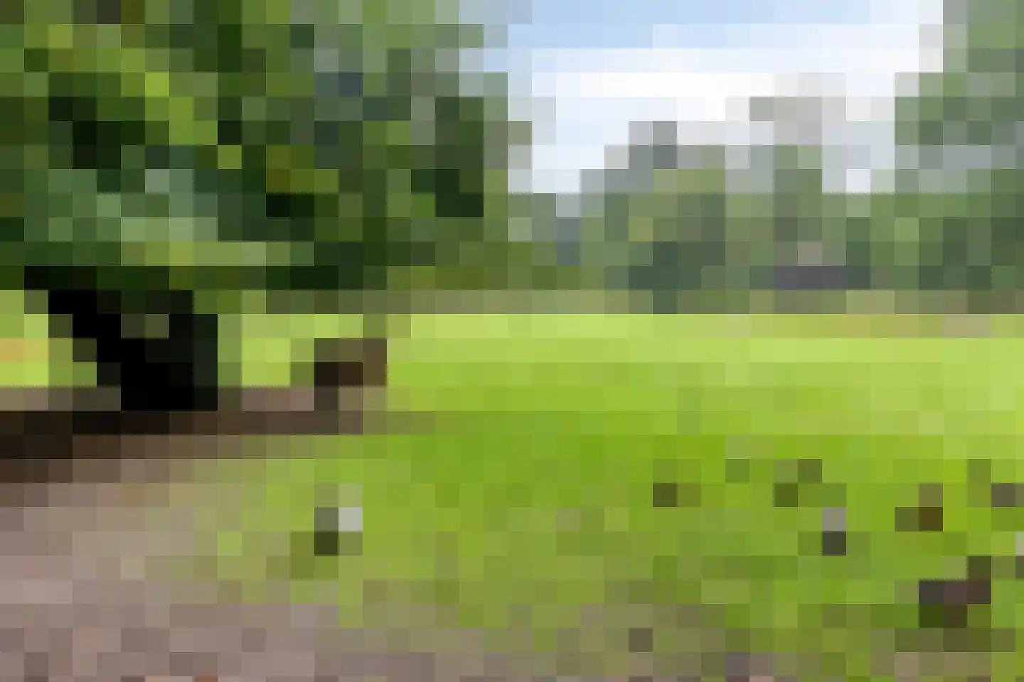 Jan Wilshof 50 Alkmaar thumbnail 37