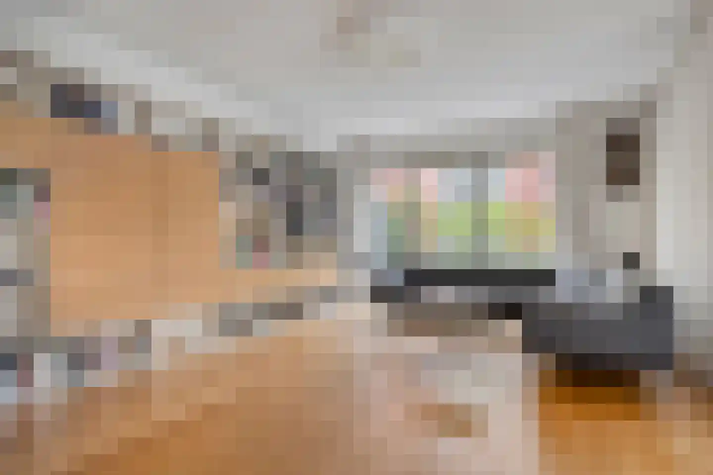 Jan Wilshof 85 Alkmaar thumbnail 12