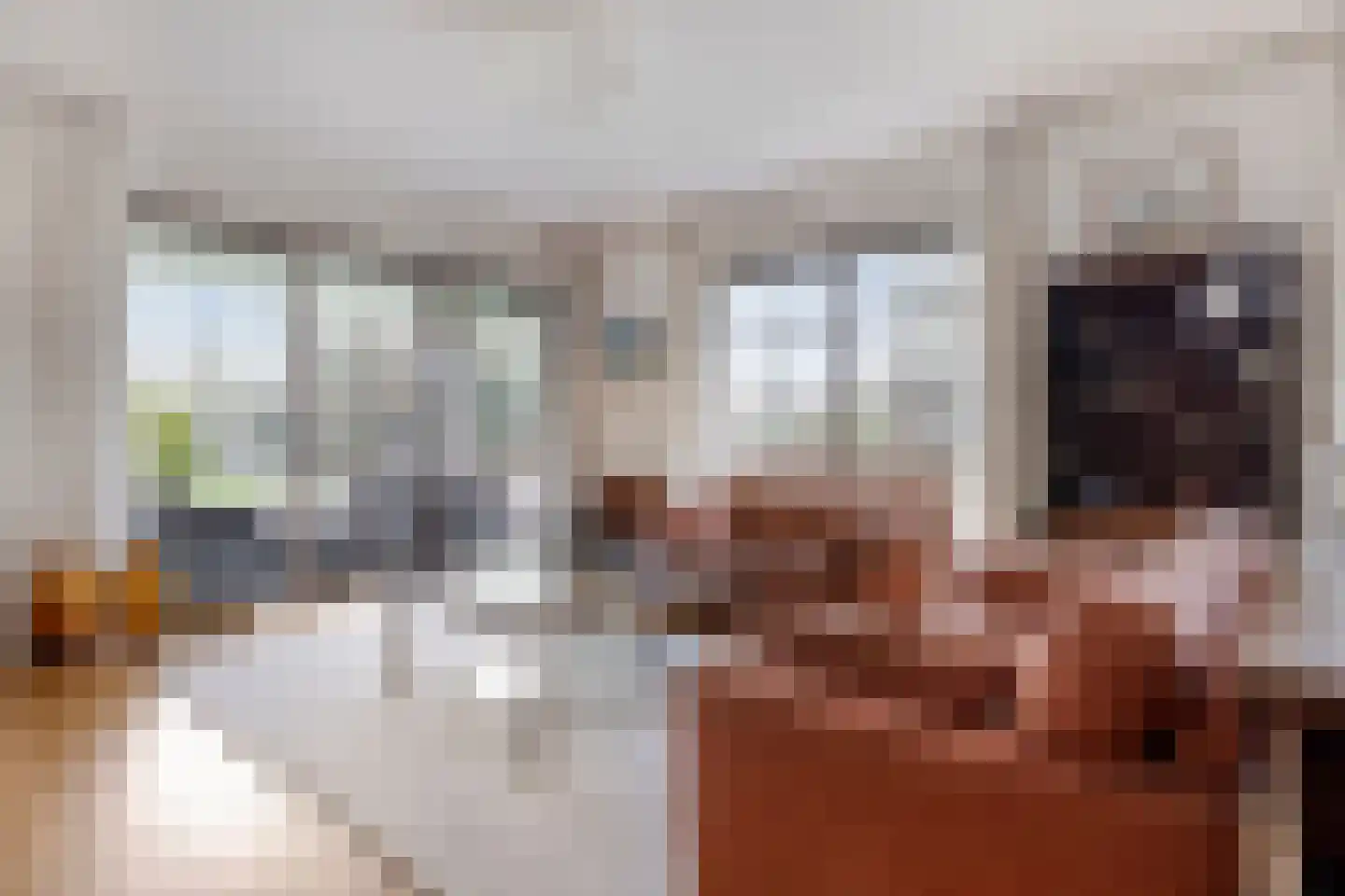 Jan Wilshof 85 Alkmaar thumbnail 13