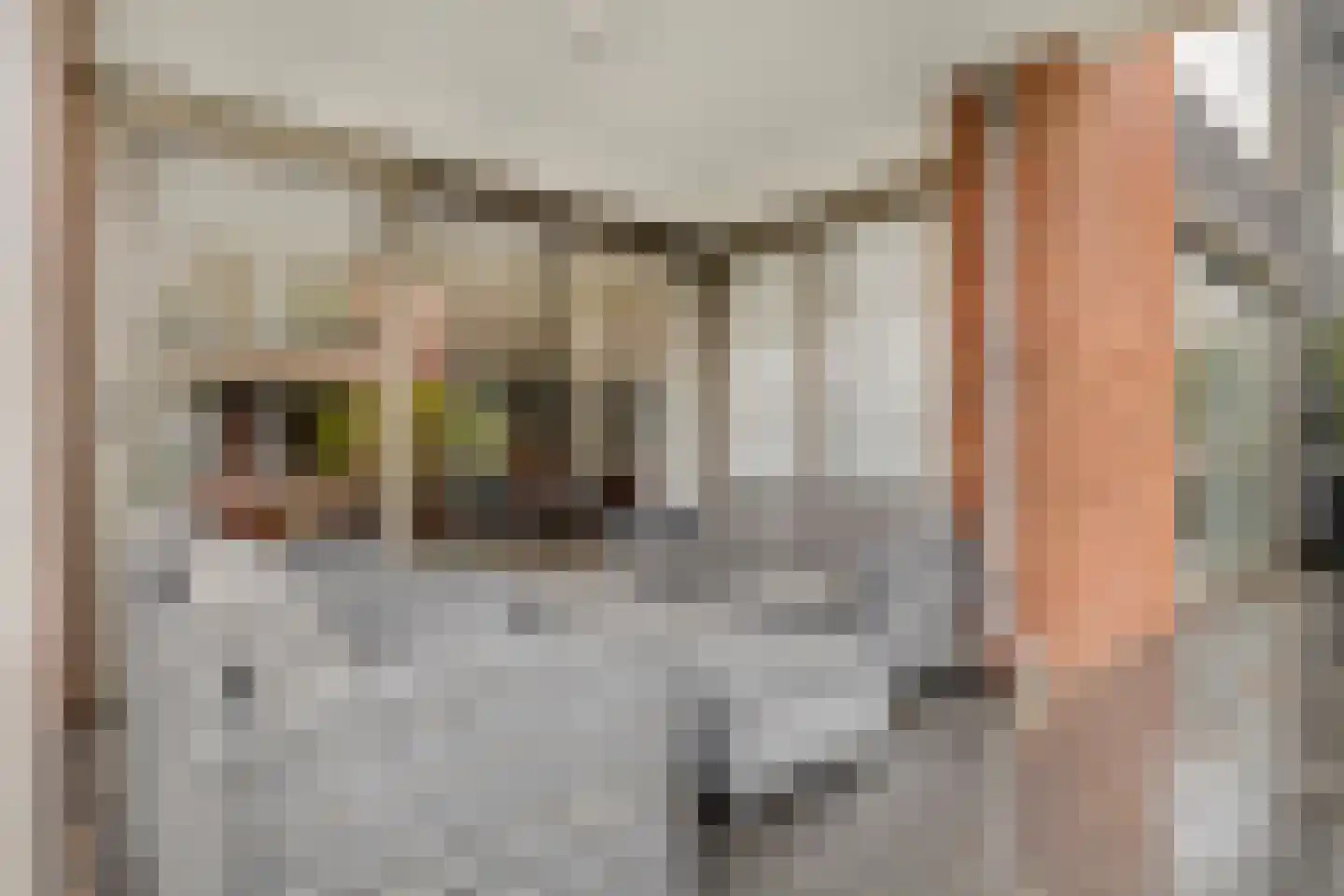Jan Wilshof 85 Alkmaar thumbnail 14