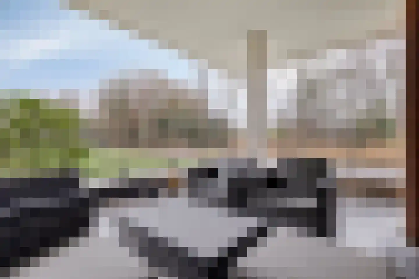 Jan Wilshof 85 Alkmaar thumbnail 15