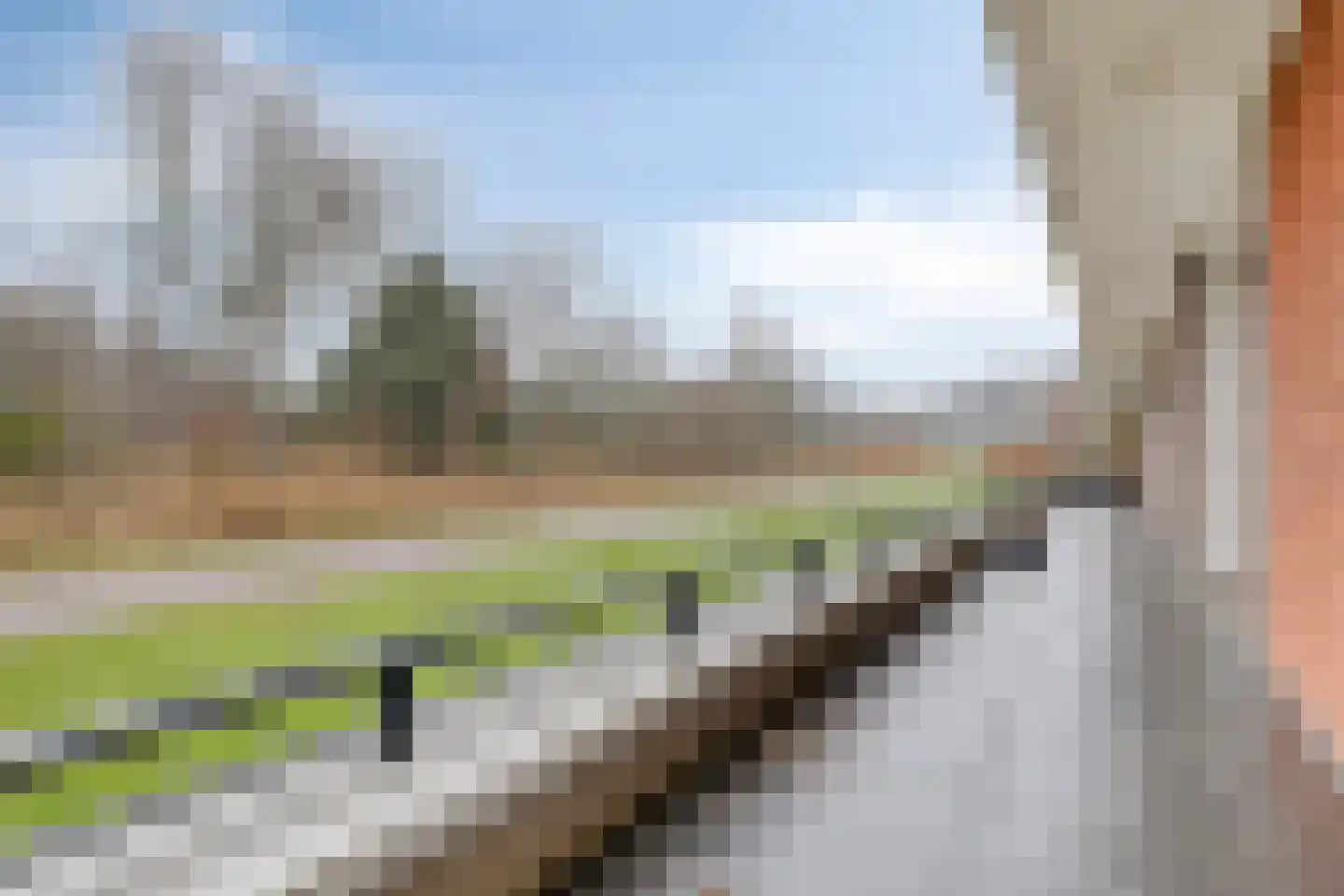 Jan Wilshof 85 Alkmaar thumbnail 16