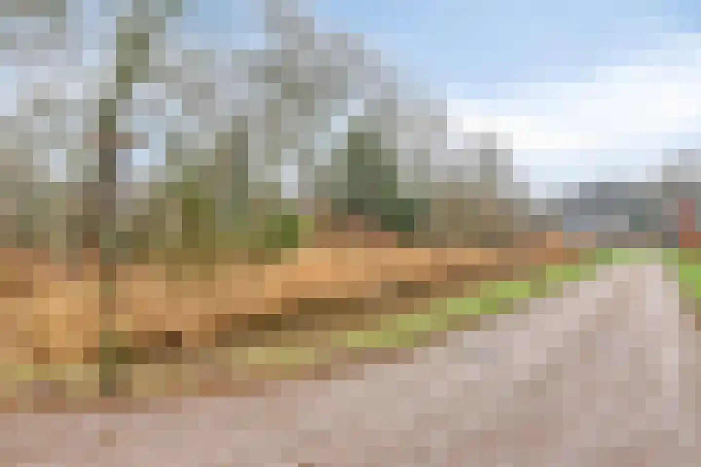 Jan Wilshof 85 Alkmaar thumbnail 35