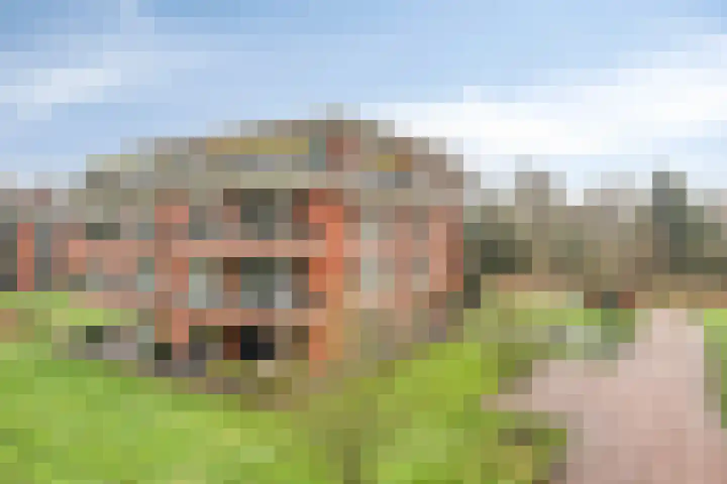 Jan Wilshof 85 Alkmaar thumbnail 36