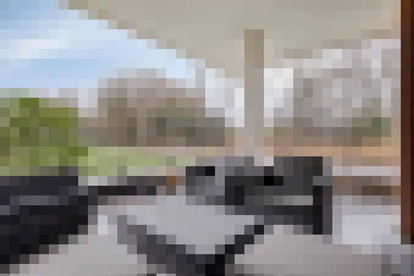 Jan Wilshof 85 Alkmaar thumbnail 4