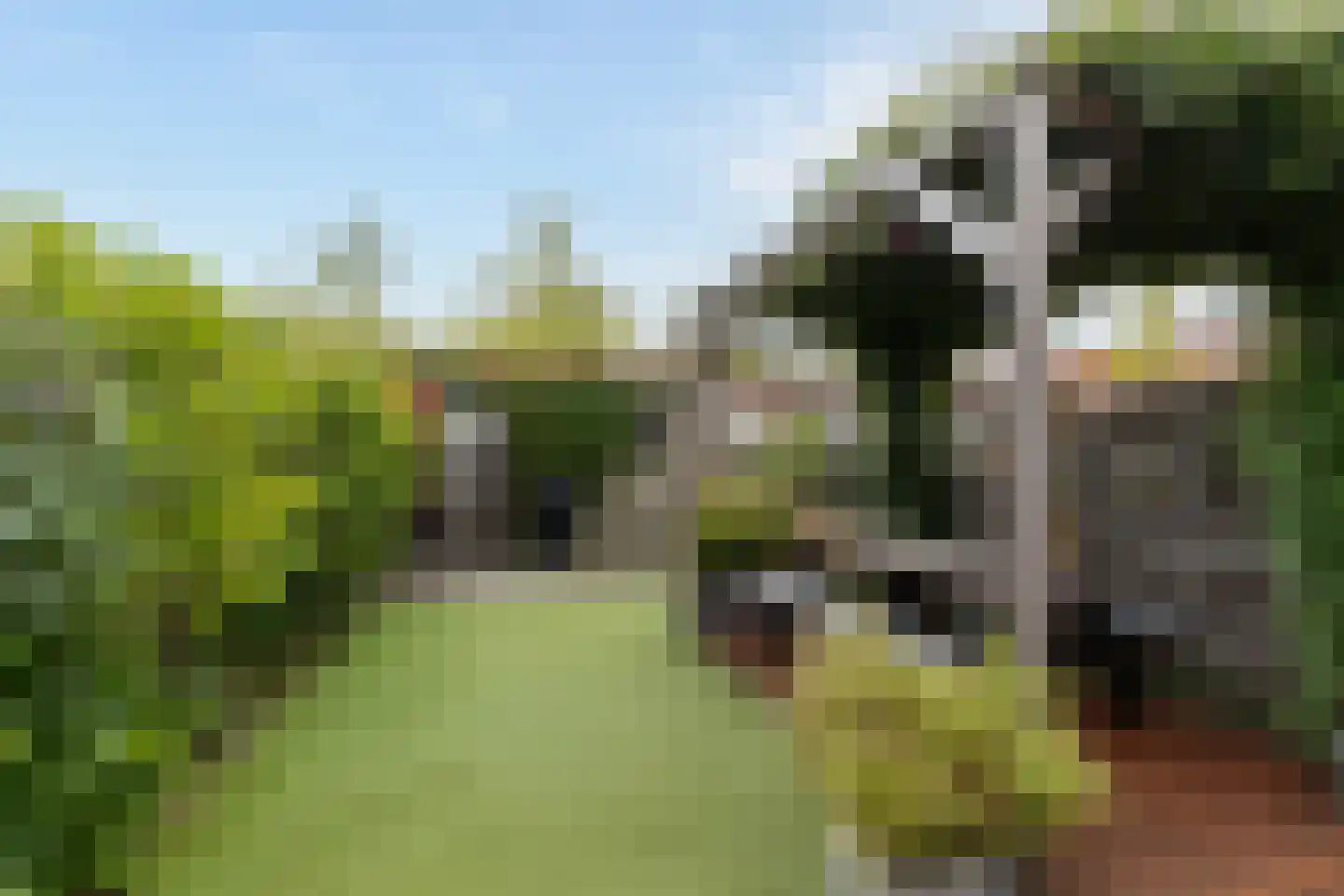 Jan Wilspad 26 Rotterdam thumbnail 25