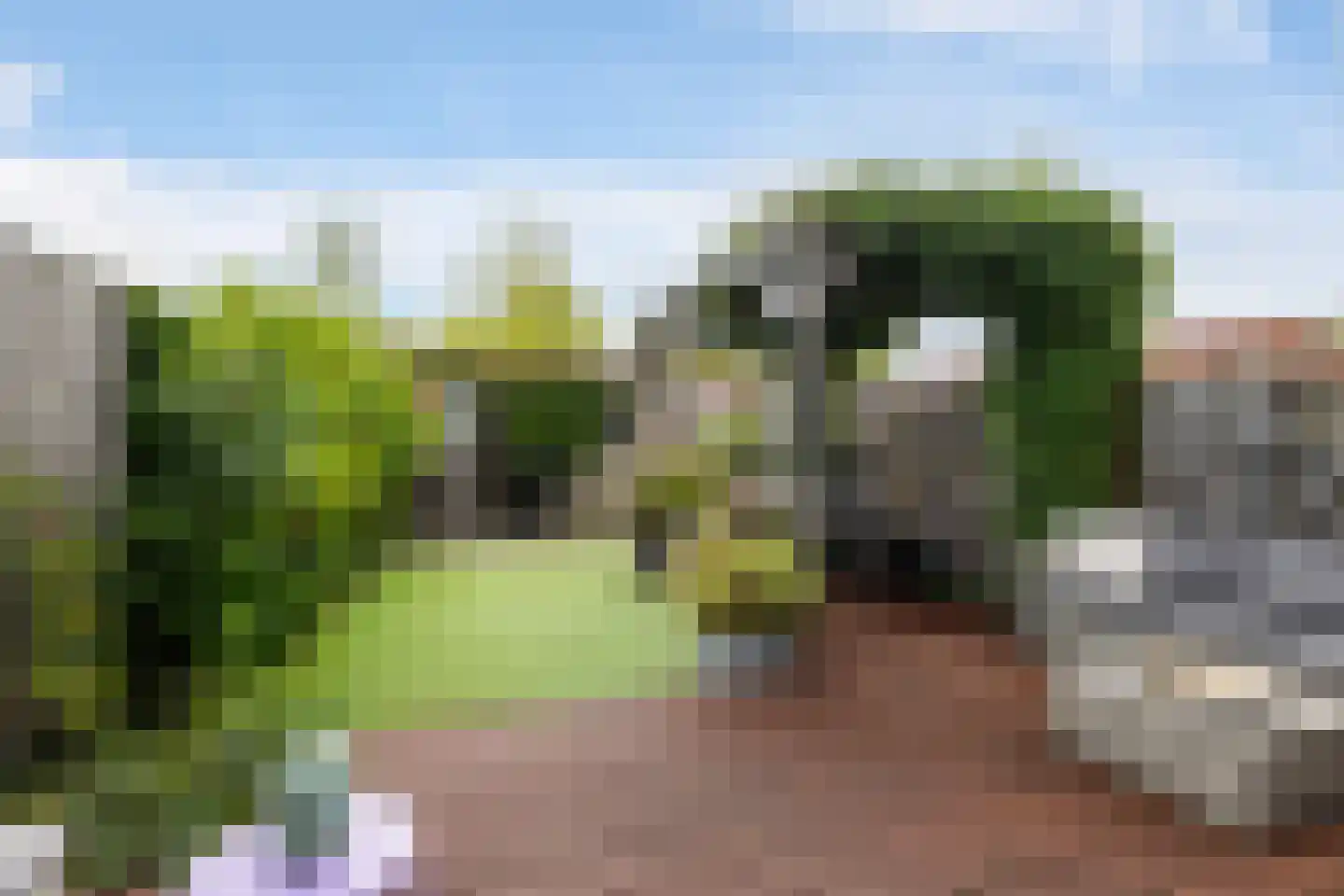 Jan Wilspad 26 Rotterdam thumbnail 4