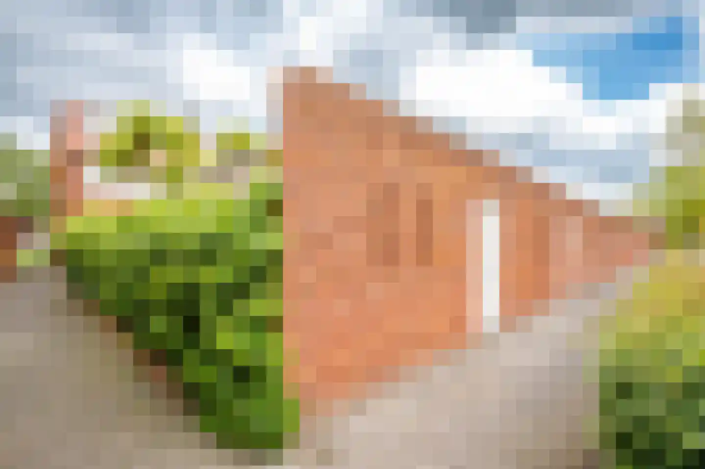 Jan Wilspad 28 Rotterdam thumbnail 37