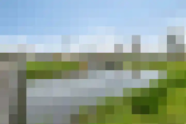 Jan Wilspad 32 Rotterdam thumbnail 37