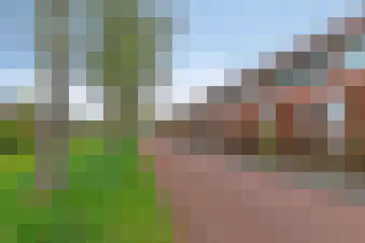 Jan Wilspad 32 Rotterdam thumbnail 5