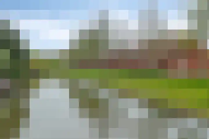 Jan Wilspad 32 Rotterdam thumbnail 6