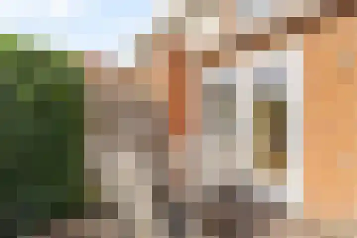 Jan Wilspad 36 Rotterdam thumbnail 33