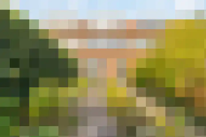 Jan Wilspad 36 Rotterdam thumbnail 35
