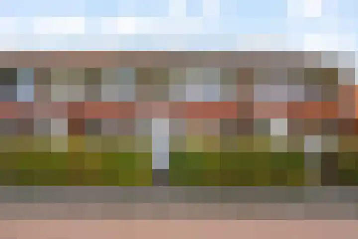 Jan Wilspad 36 Rotterdam thumbnail 38