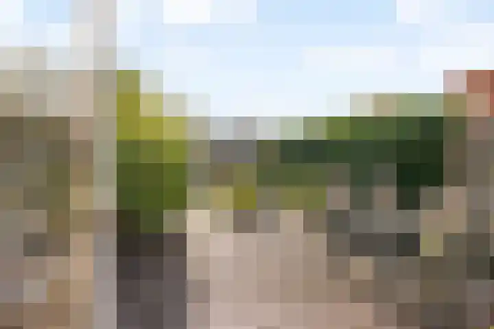 Jan Wilspad 36 Rotterdam thumbnail 4